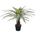 Realistic yucca plant for stylish interior decoration