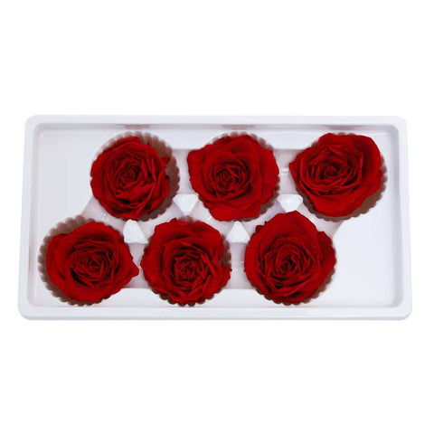 6CM Preserved Rose Flower