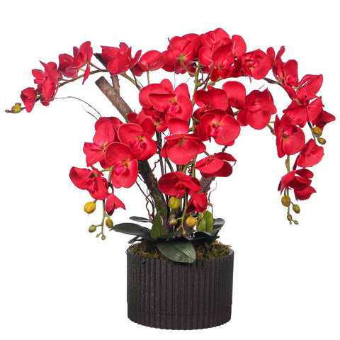 Natural Look Orchid Arrangements Red