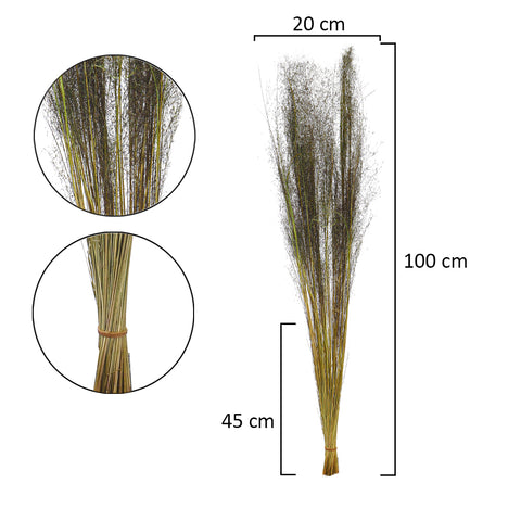 Natural Dried Grass