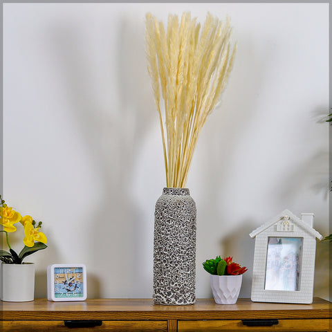 White Bunch Dried Pampas Grass