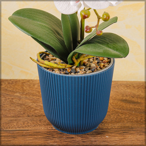 2pcs Modern Rib Design Plastic Pot