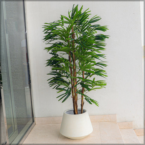 Buy stylish concrete planters in UAE