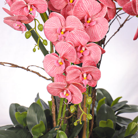 Natural Look Orchid Arrangements Pink