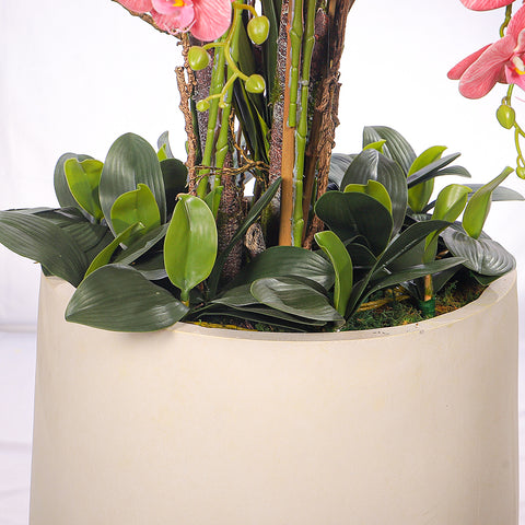 Natural Look Orchid Arrangements Pink