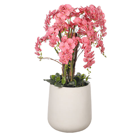 Natural Look Orchid Arrangements Pink