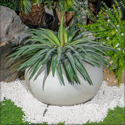 Cement Round Concrete Pot