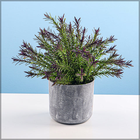 stylish gray plastic planters for home decor