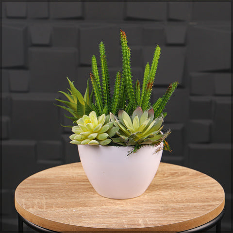 Modern round plastic plant pot for minimalist spaces