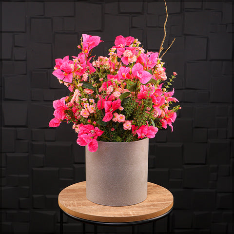 Large plastic flower pots for garden design