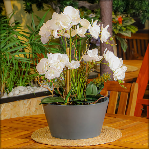 Grey plastic trough planters