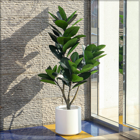 Realistic artificial rubber plant for office décor