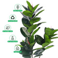 Lifelike faux rubber plant for modern living rooms