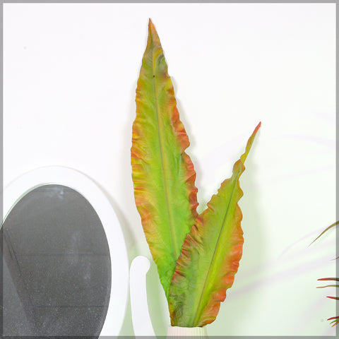 Rubberized Strelitzia leaf for styling