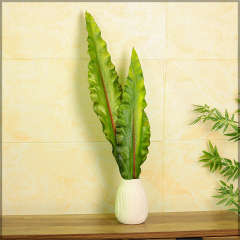 Rubberised tropical leaf stem