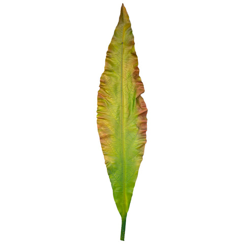 Rubberised Strelitzia leaf for decor