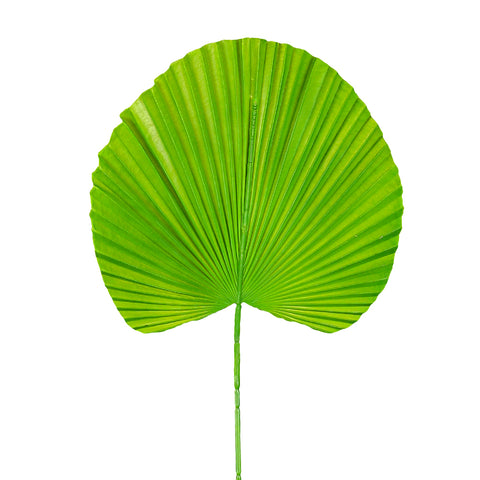 artificial ruffled fan palm leaf