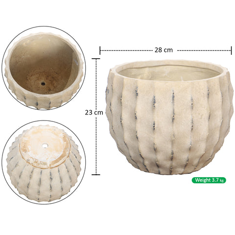 Rustic Design Concrete Pots