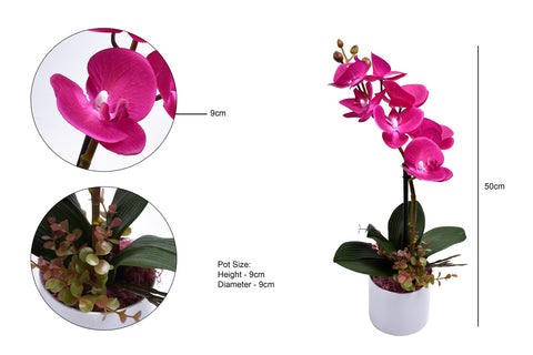 Real Touch Artificial Potted Orchid Flowers Fuchsia