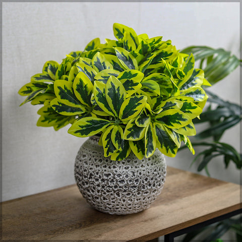 Money leaf faux plant for modern decor