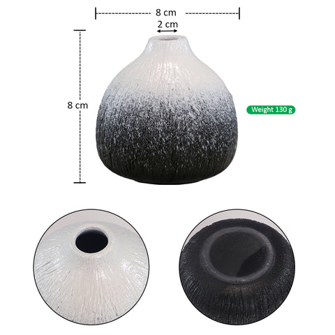 Elegant black and white ceramic vase