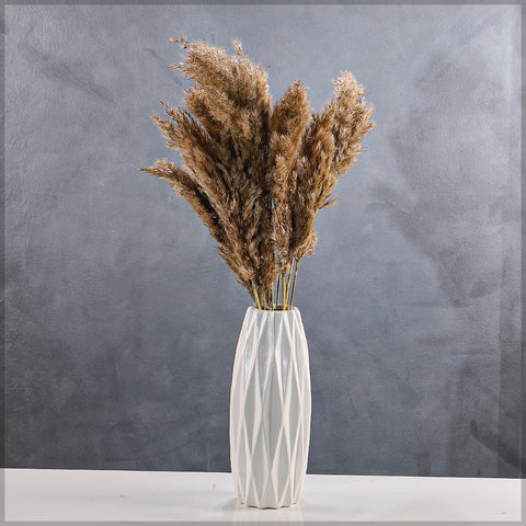 Small Size Dried Pampas Grass