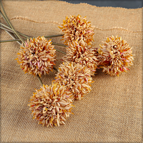 Small Thorn Ball Dandelion Flower