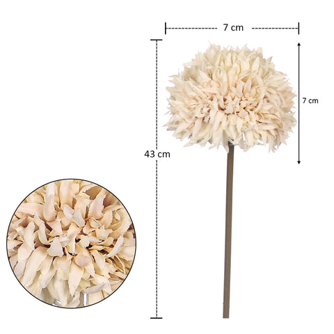 Small Thorn Ball Dandelion Flower