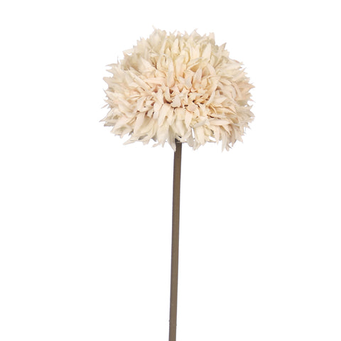 Small Thorn Ball Dandelion Flower