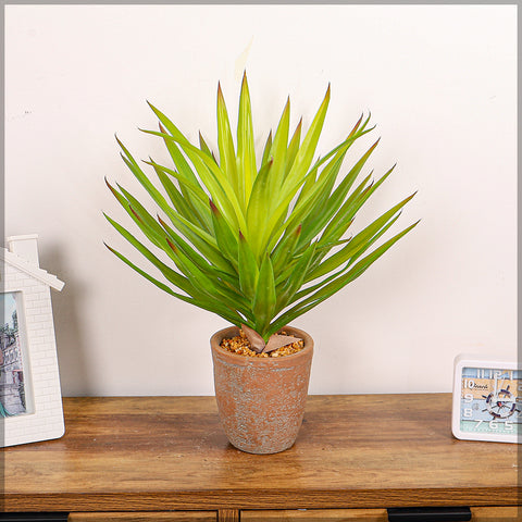 Spikey artificial airplant with pot