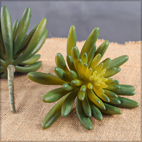 Artificial succulent for modern spaces