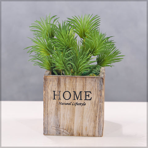 Faux Senecio Succulent for living room decor