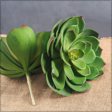 Lifelike faux echeveria succulent for indoor decoration