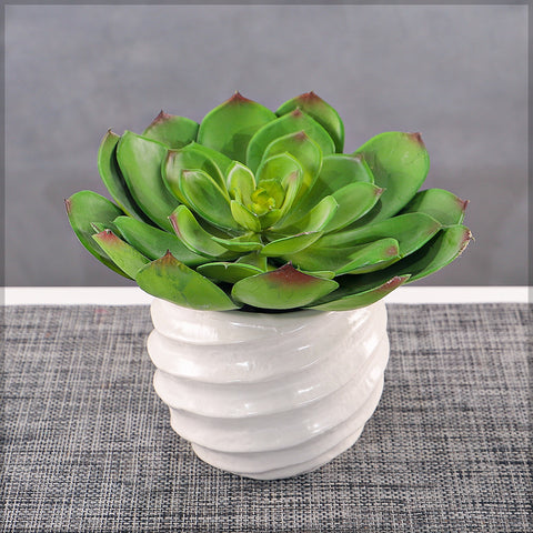 Decorative echeveria artificial succulent in a pot