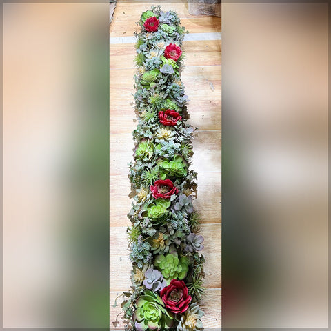 Succulent Plant Arrangement for Decoration