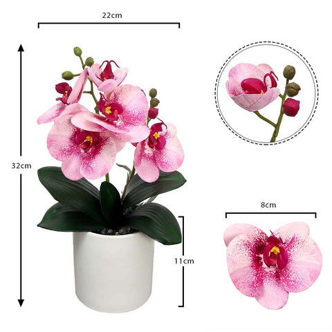 Potted Orchid Flower Arrangement