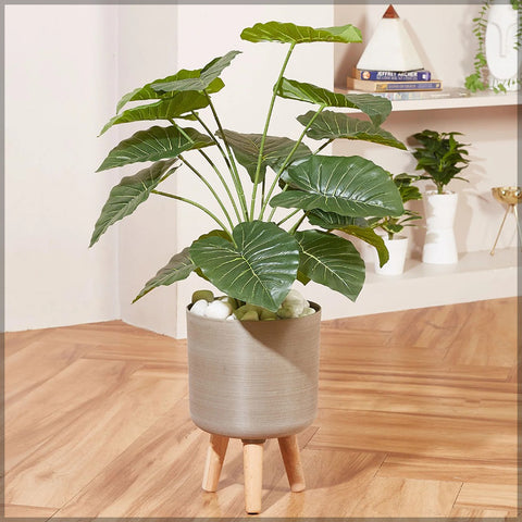 Plant stand with pot