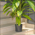 Vibrant artificial tradescantia plant in a yellow pot