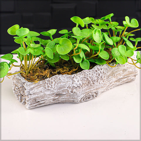 Cement vase rectangular design on modern coffee table