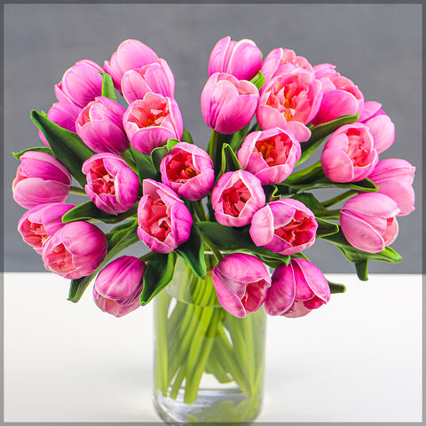 Tulip Flower Arrangements