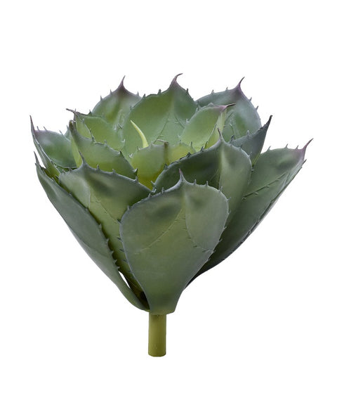 Realistic fake agave attenuata plant