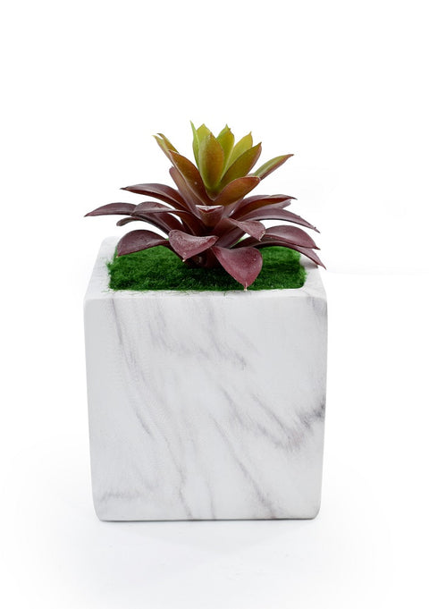 Artificial Potted Succulent Plant With Ceramic