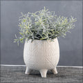 White ceramic planter for indoor plants