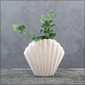 Elegant decorative vase with seashell shape