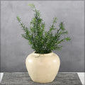 Decorative ceramic jar vase for modern interiors