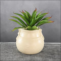 Elegant curvy ceramic flower vase in cream