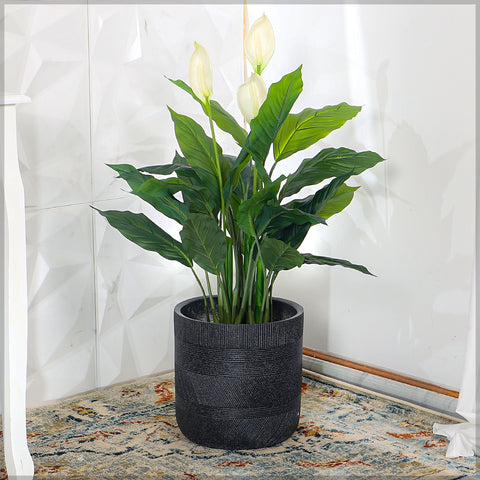 stylish black cement pot for indoor and outdoor use