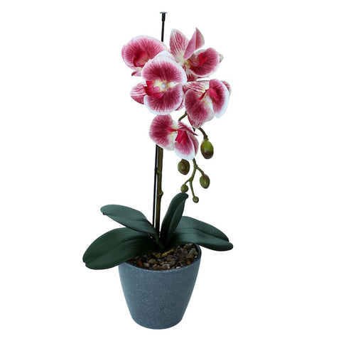 Artificial Potted Phalaenopsis Flower