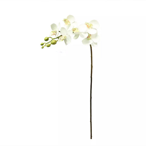 Artificial Mini Phalaenopsis Flowers White