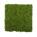 Transform your space with lush artificial grass for walls! Maintenance-free, green beauty year-round. Perfect for home & office décor!